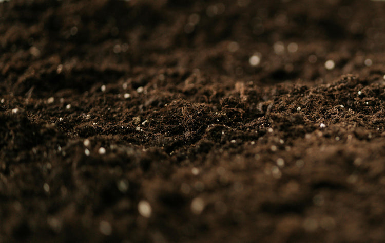 Soils & Substrates